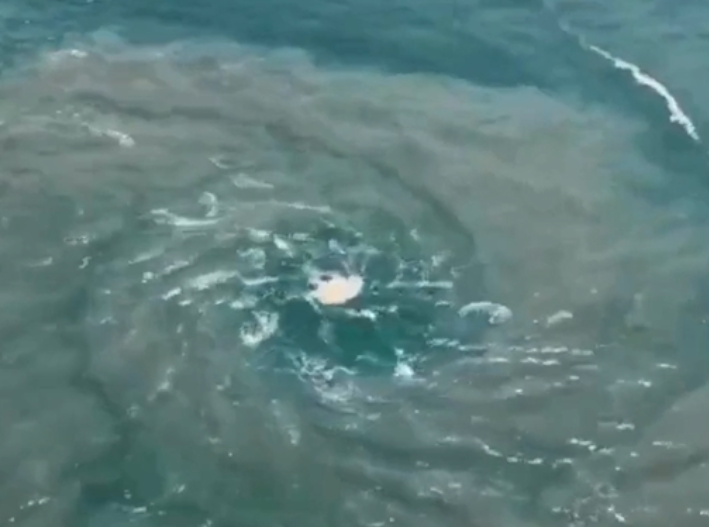 Impresionante vórtice marino es captado frente a Puerto Escondido