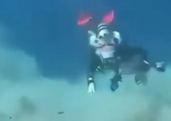 Terremoto bajo el mar atrapa a buzos en nube de sedimentos