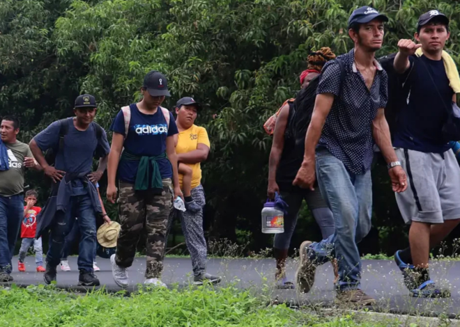 Cárteles monopolizan el tráfico de migrantes y elevan los precios hasta a 50 mil dólares