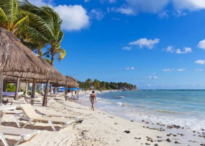 Tribunal frena proyecto en Playa del Carmen por falta de consulta pública
