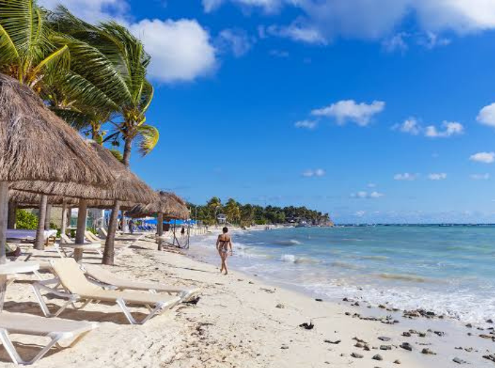Tribunal frena proyecto en Playa del Carmen por falta de consulta pública
