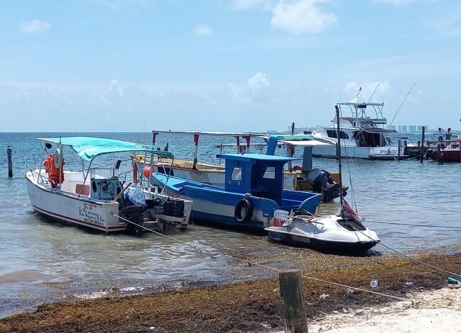 Sector náutico alista protocolos y refugios para embarcaciones en Quintana Roo
