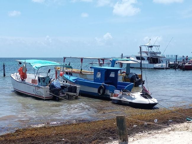 Sector náutico alista protocolos y refugios para embarcaciones en Quintana Roo
