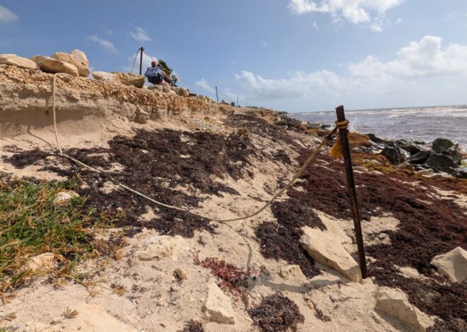 Tulum dejó pasar la oportunidad de aprovechar el sargazo: Manuel Rodríguez Cabait