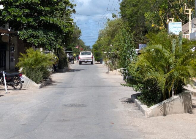 David Jauring propone repavimentar la avenida Siete Sur con Sargacreto