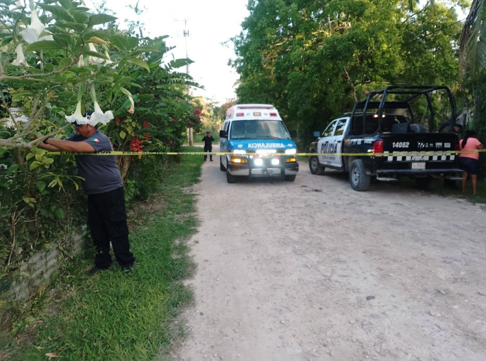 Ataque de abejas africanizadas en Ucum deja dos menores lesionados y una mascota muerta