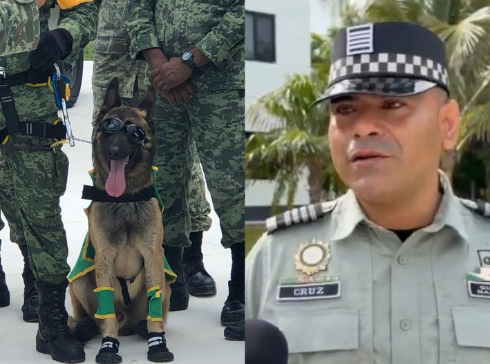 Respaldan 141 perros entrenados las labores de la Guardia Nacional