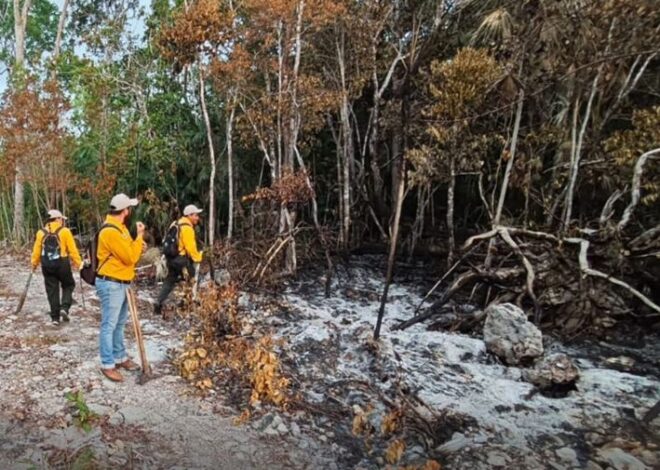 Controlan al 90% incendio que afectó al menos dos hectáreas en Tulum