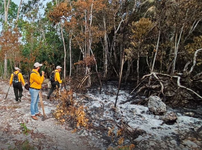 Controlan al 90% incendio que afectó al menos dos hectáreas en Tulum