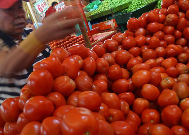 ¡Baja el jitomate! Profeco presume alivio al bolsillo