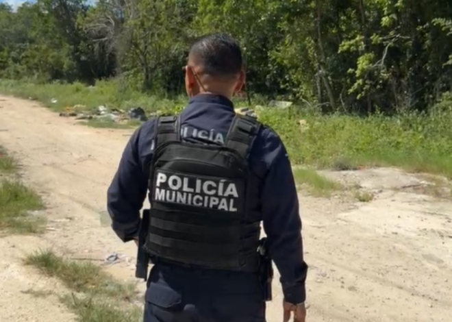 Localizan cuerpo dentro de un tambo en la Región 203 de Cancún