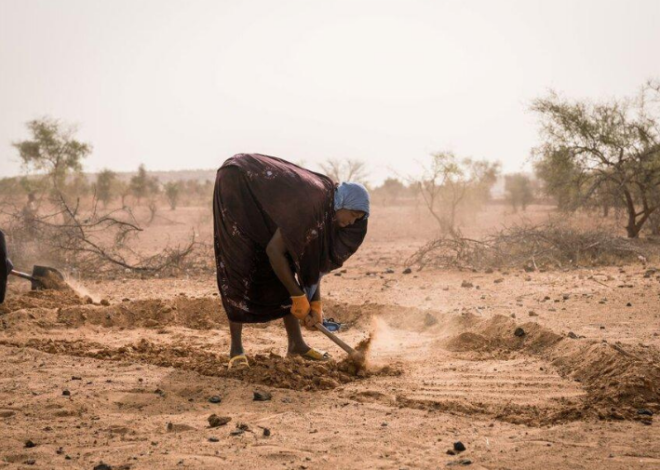 El Sahel africano, víctima del calentamiento global