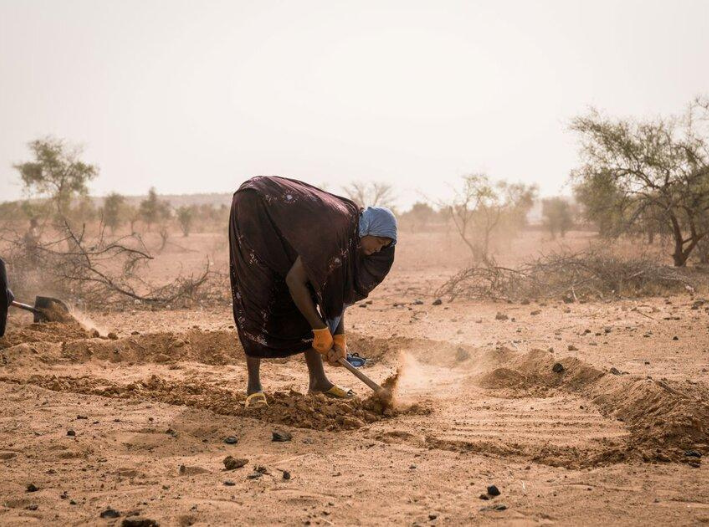 El Sahel africano, víctima del calentamiento global