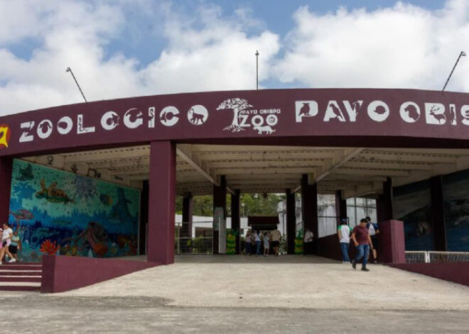 Chetumal se queda sin zoológico mientras arrancan las remodelaciones
