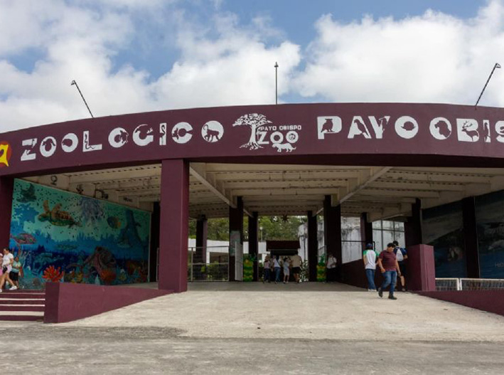 Chetumal se queda sin zoológico mientras arrancan las remodelaciones