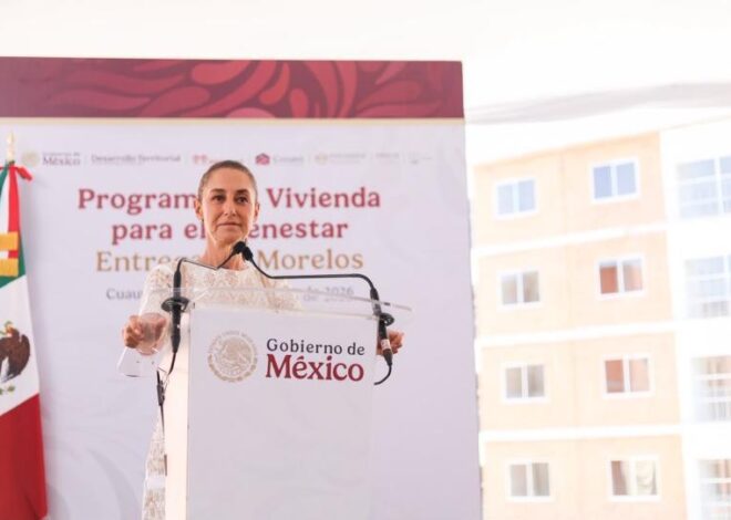Moscas contra el gusano: la apuesta de Sheinbaum para rescatar la ganadería