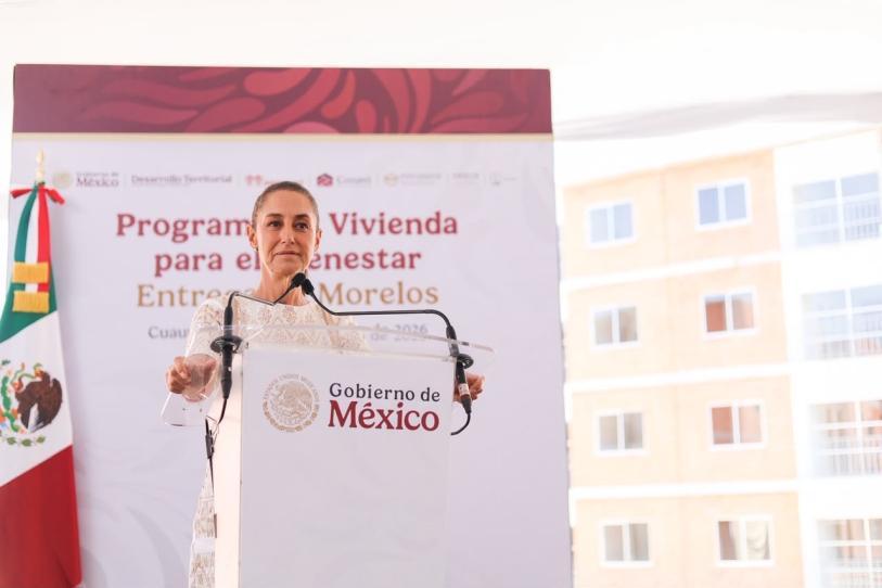 Moscas contra el gusano: la apuesta de Sheinbaum para rescatar la ganadería