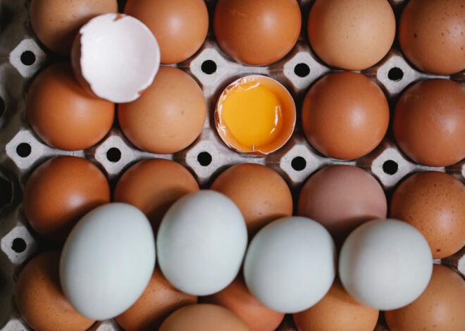 Retiran millones de docenas de huevos en EU por posible contaminación con salmonela