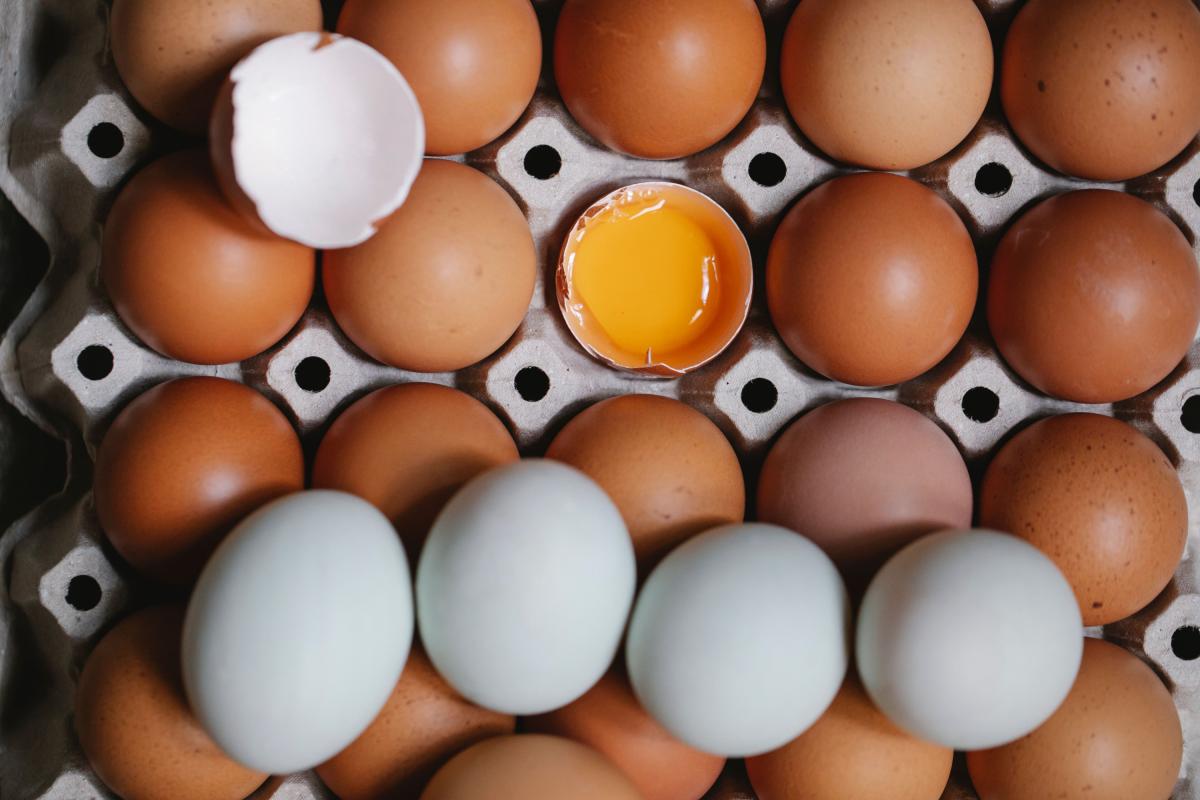 Retiran millones de docenas de huevos en EU por posible contaminación con salmonela