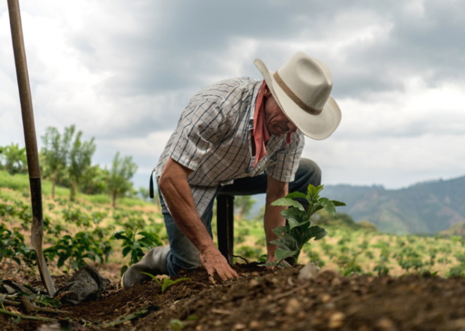 El campo alimenta al mundo, pero millones siguen en pobreza en México