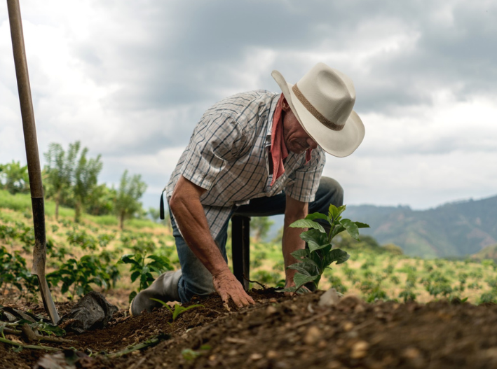 El campo alimenta al mundo, pero millones siguen en pobreza en México
