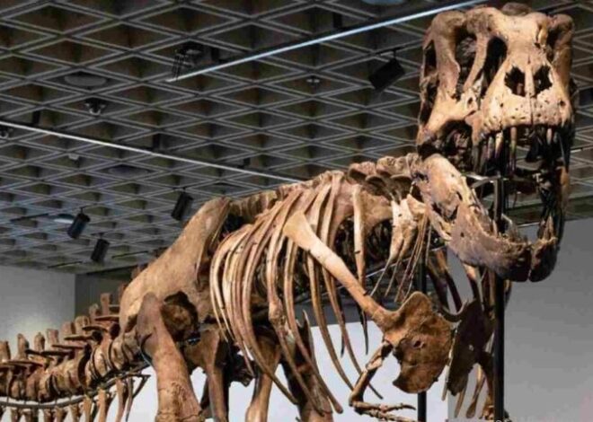 Un T. rex hace temblar el mercado: récord mundial en Nueva York