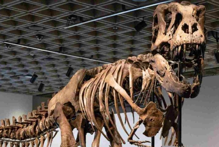 Un T. rex hace temblar el mercado: récord mundial en Nueva York
