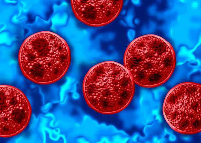¿Alerta sanitaria? México confirma casos de Cyclospora, pero niega un brote