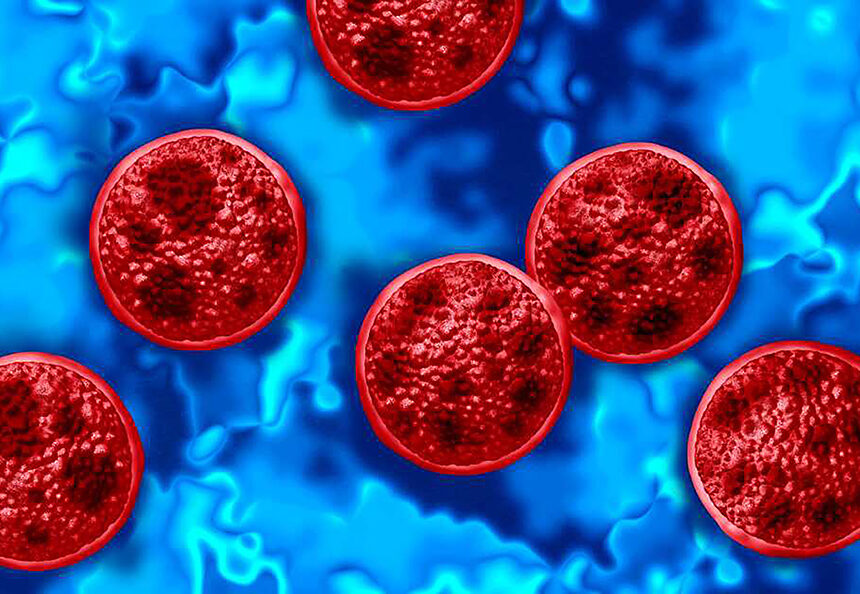 ¿Alerta sanitaria? México confirma casos de Cyclospora, pero niega un brote