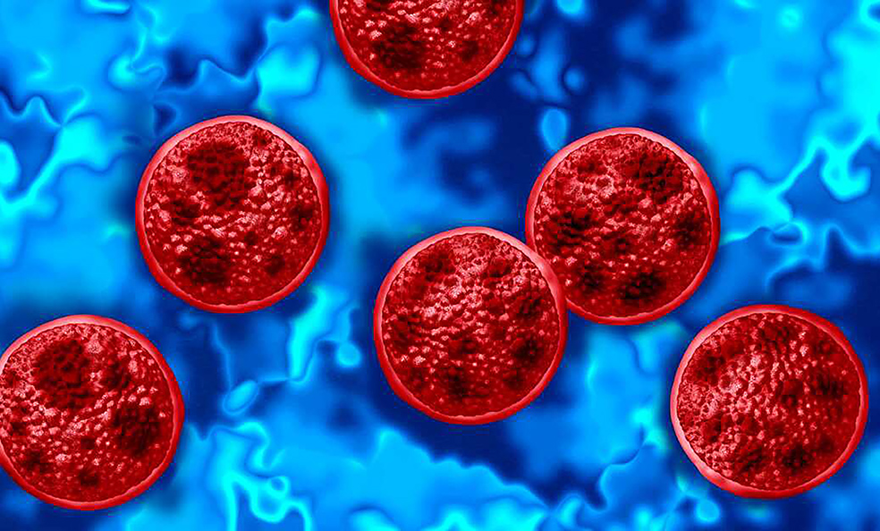 ¿Alerta sanitaria? México confirma casos de Cyclospora, pero niega un brote
