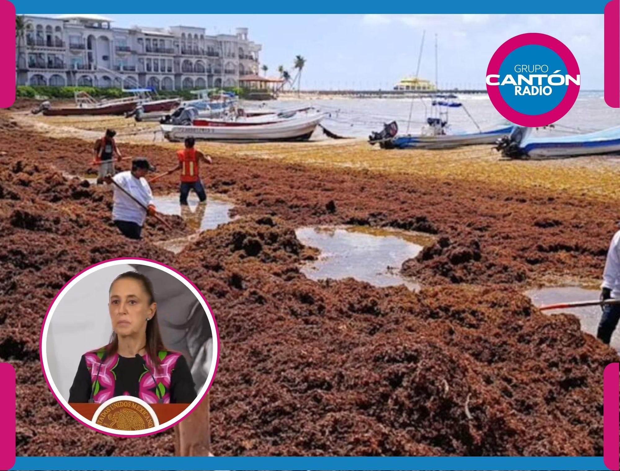 Caribe Mexicano se defiende: alistan Sheinbaum y empresarios ofensiva contra el sargazo