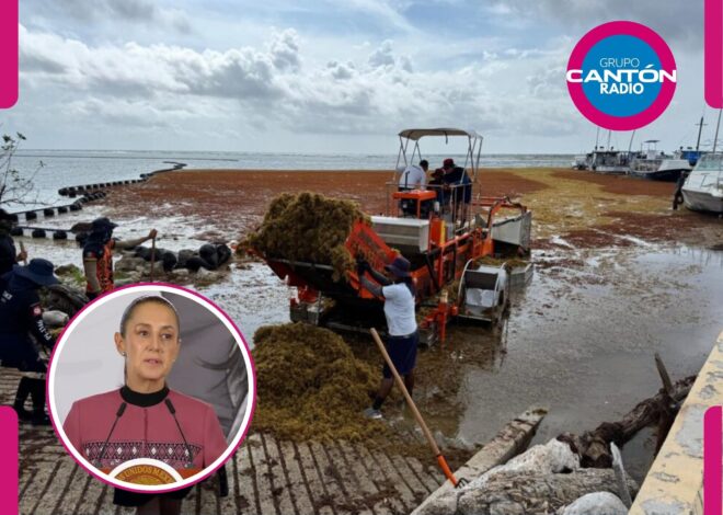 Sheinbaum lanza cañonazo 2 mil mdp contra el sargazo en Quintana Roo