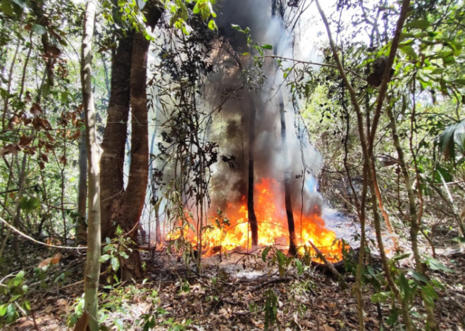 Incendio consume área verde en Cancún y causa cierre vial