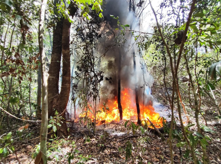 Incendio consume área verde en Cancún y causa cierre vial