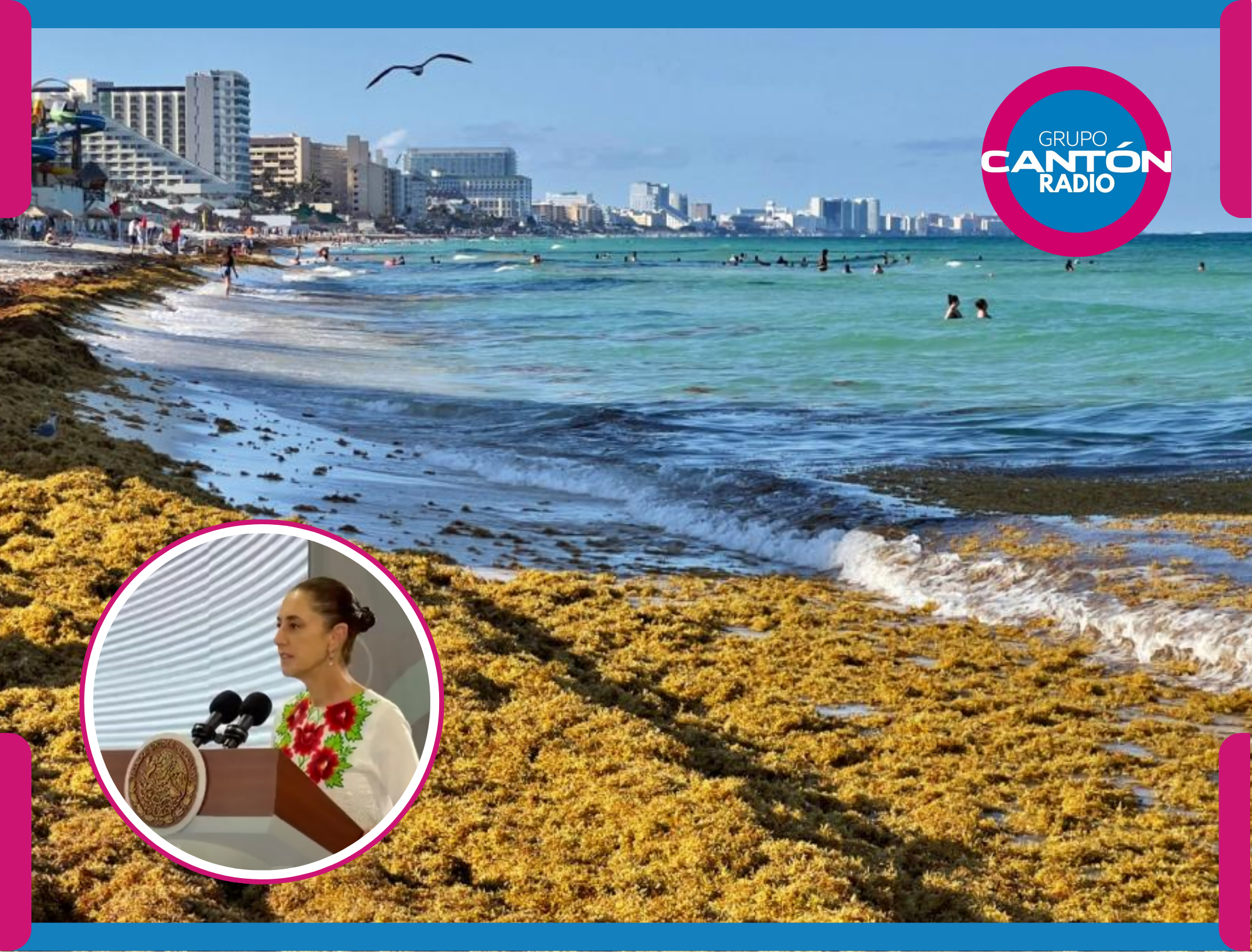 Sheinbaum alista nuevo plan para frenar el impacto del sargazo en Quintana Roo