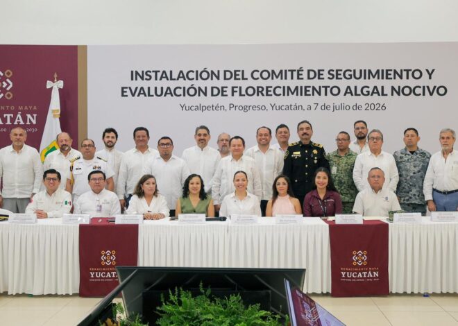 Yucatán activa vigilancia permanente ante riesgo de marea roja