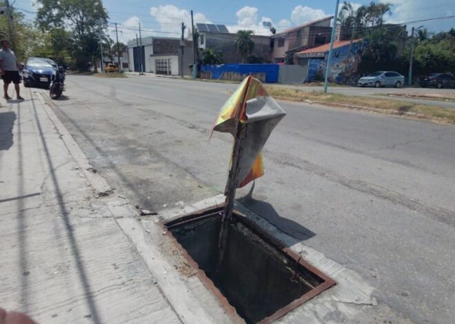 Colonia Aarón Merino Fernández en el olvido: denuncian fallas en energía y servicios públicos