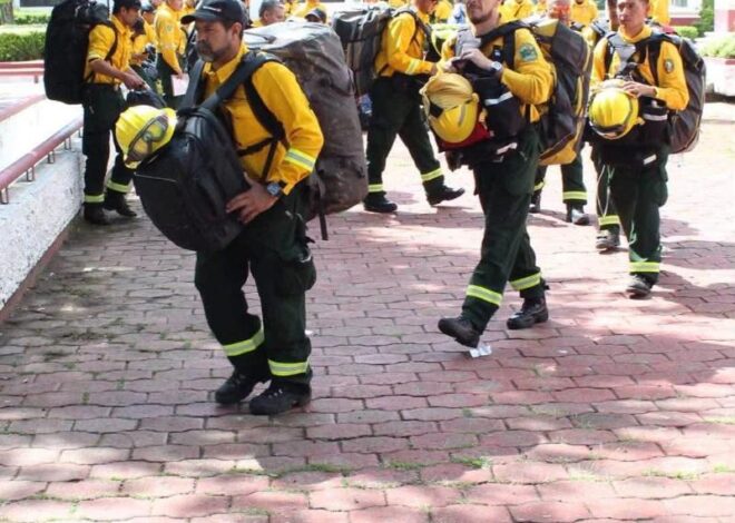 México envía brigadistas a Canadá para combatir incendios forestales