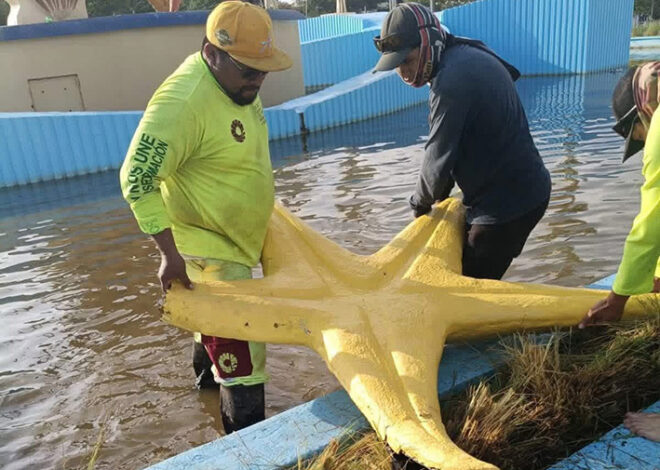 Del gol al vandalismo: tumban estrella de la Glorieta del Ceviche