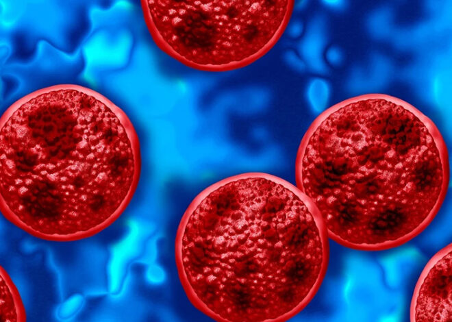 Alerta en el Caribe: investigan posibles contagios de ciclosporiasis en Quintana Roo