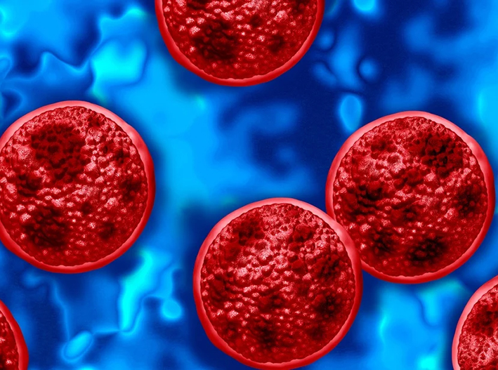 Alerta en el Caribe: investigan posibles contagios de ciclosporiasis en Quintana Roo