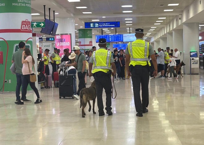 Binomio canino da golpe al narcotráfico en la Terminal 2 de Cancún