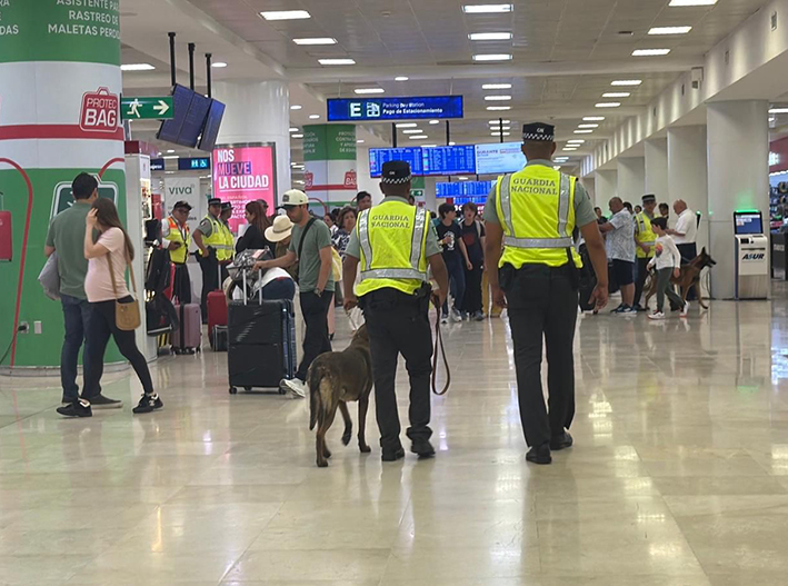 Binomio canino da golpe al narcotráfico en la Terminal 2 de Cancún