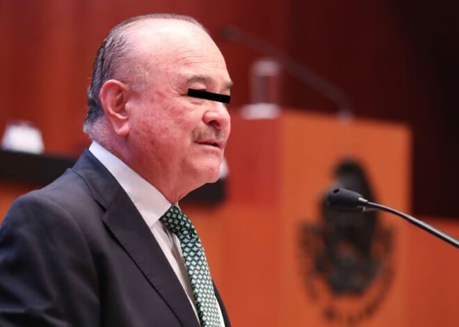 Más de un año de investigación: así se armó el caso contra Ernesto Ruffo