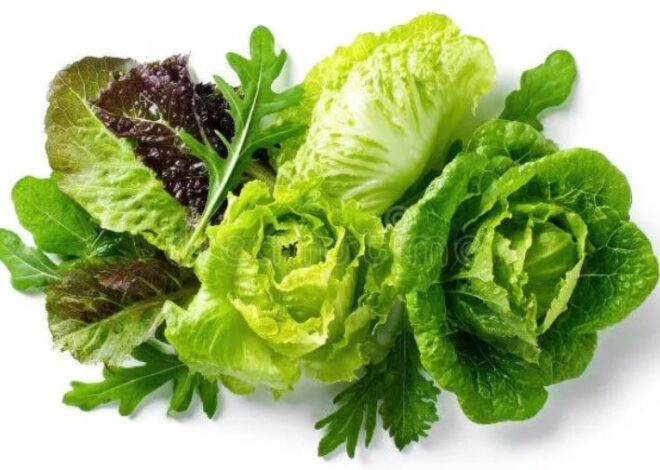 Brote de Cyclospora en EE.UU. supera los 7 mil casos; mantienen alerta por lechuga retirada del mercado