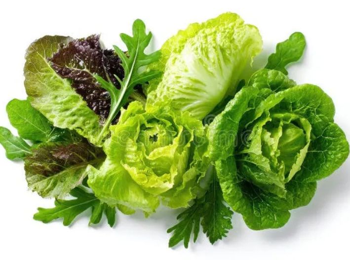 Brote de Cyclospora en EE.UU. supera los 7 mil casos; mantienen alerta por lechuga retirada del mercado