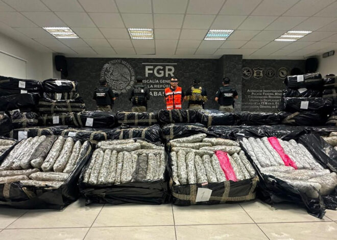 Golpe al narco en Tabasco: decomisan más de una tonelada de marihuana