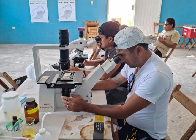 Pescadores de Yucatán se capacitan en la detección temprana de microalgas nocivas