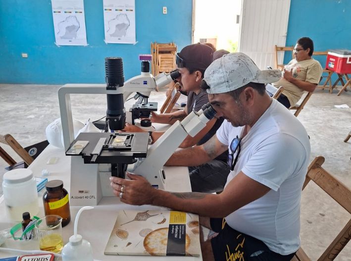 Pescadores de Yucatán se capacitan en la detección temprana de microalgas nocivas