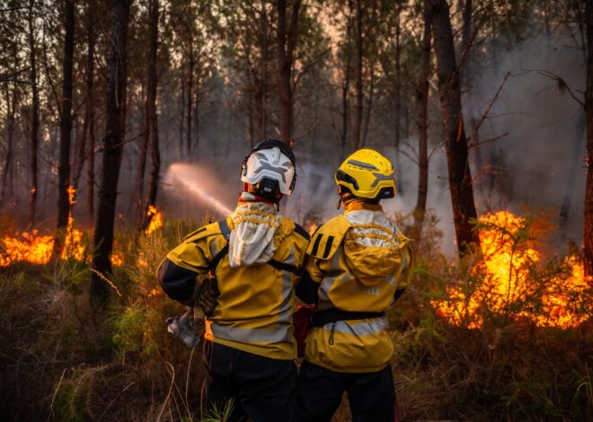 Incendio en Francia desata crisis turística y choque político